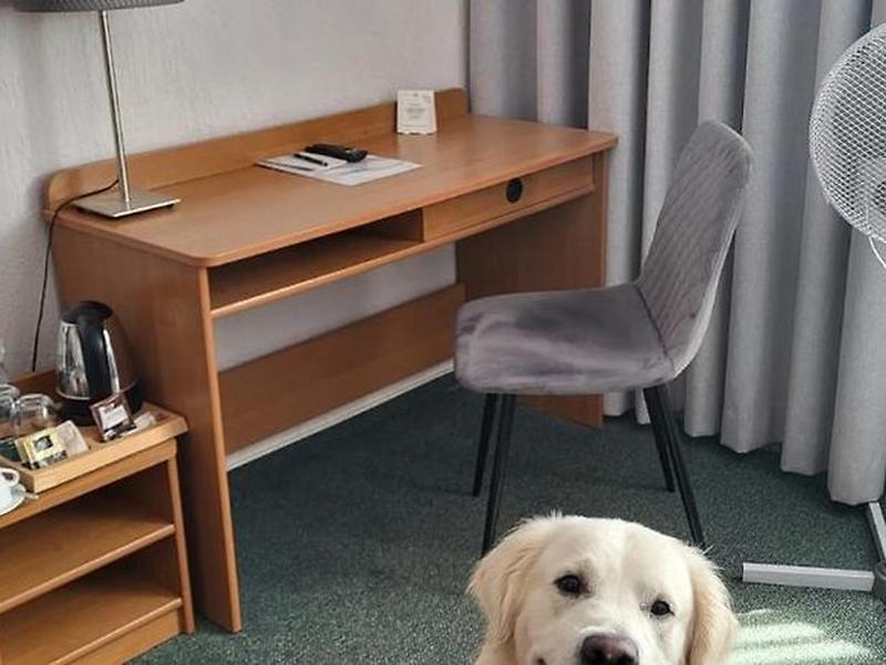 D5E8FF2C8CECBF2EC163A65661BE3C9E