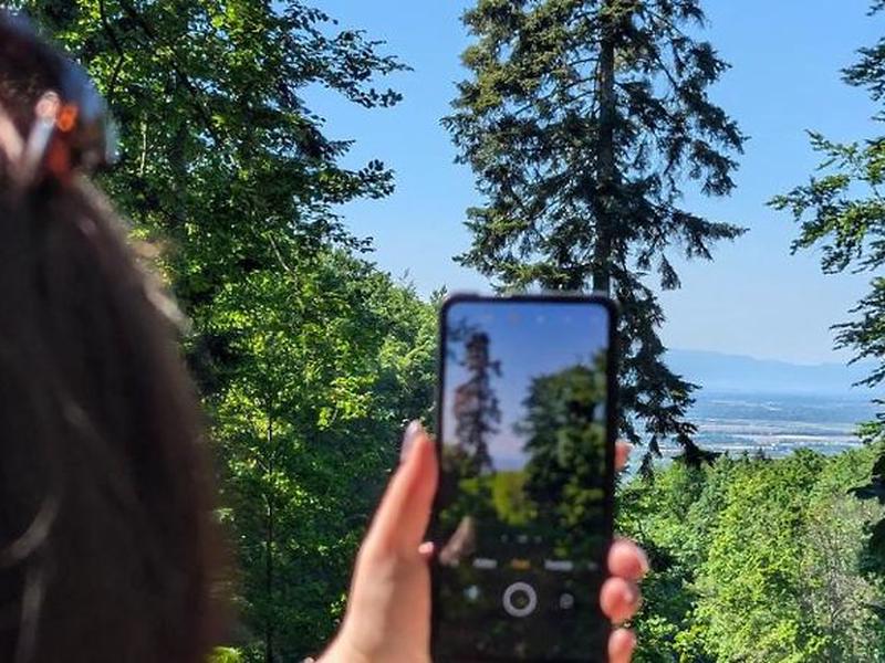 A1FC2ECBDE7AC1FCBABE58BEA4466E1B