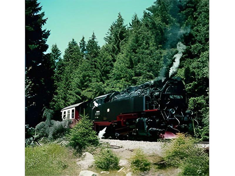 335520D68AFD1D42FF0120F5B49082C2