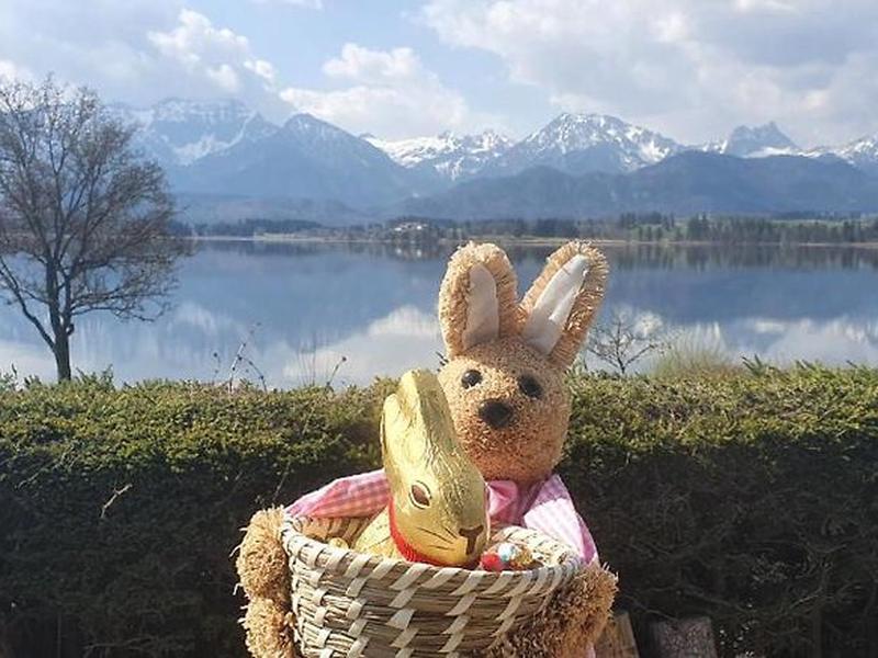 81D68C8ECCFA6E3B321AAD8BF86D74EE