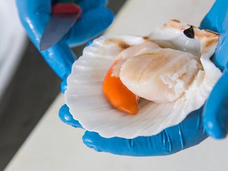 CBA13088016BF5C2F44F5D91BE08F10D