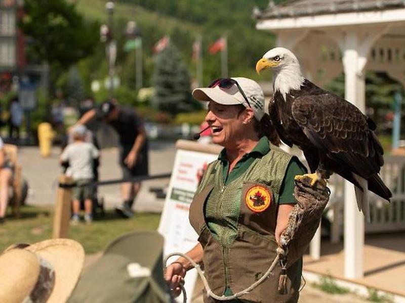 0B890C37C01358D91B936638C770F83C