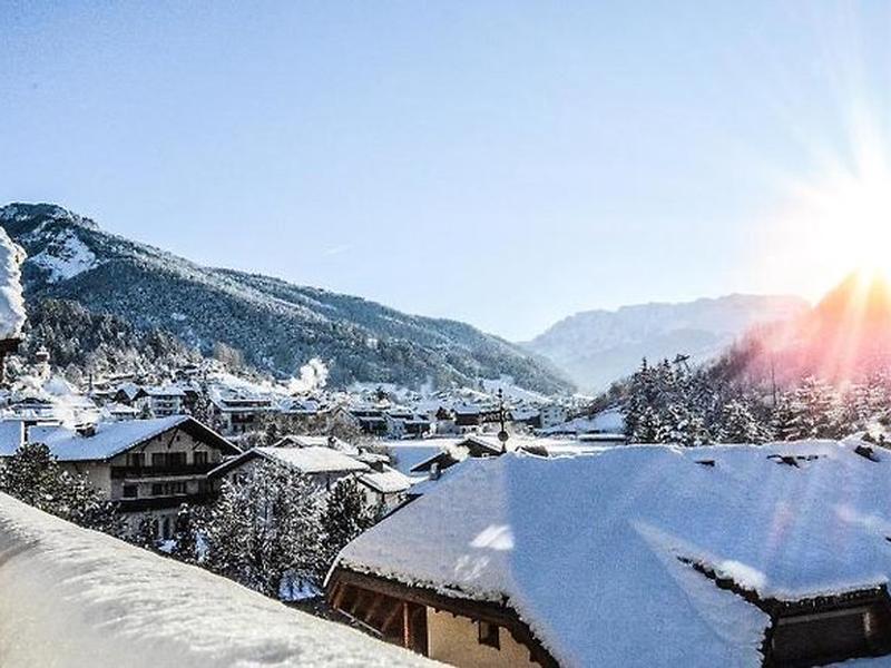 D4B527022D9DC081E915DE97751CF498