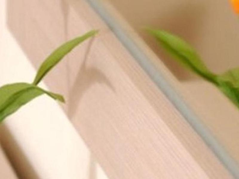 499AAE49057966D94EA895B46A064E42