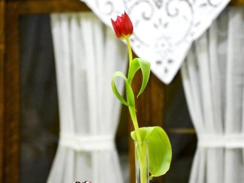 BA89A3781770FA3F2CBC285D69350EEE