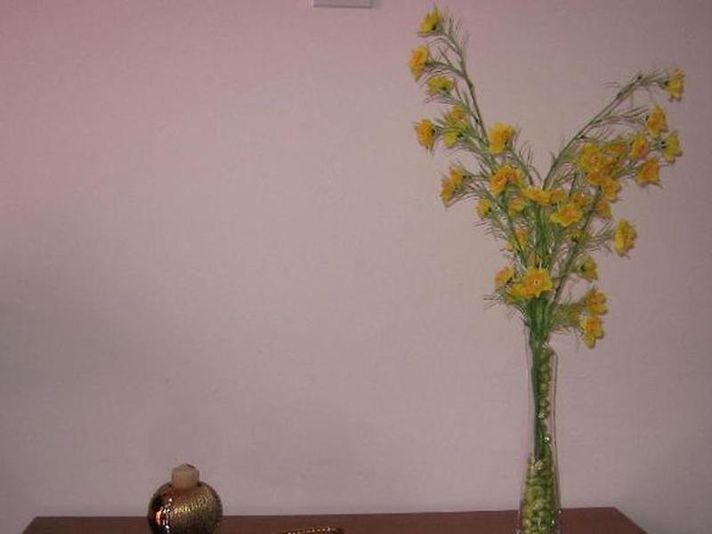 4D0A025292DF55C3ACE54A14206264D5