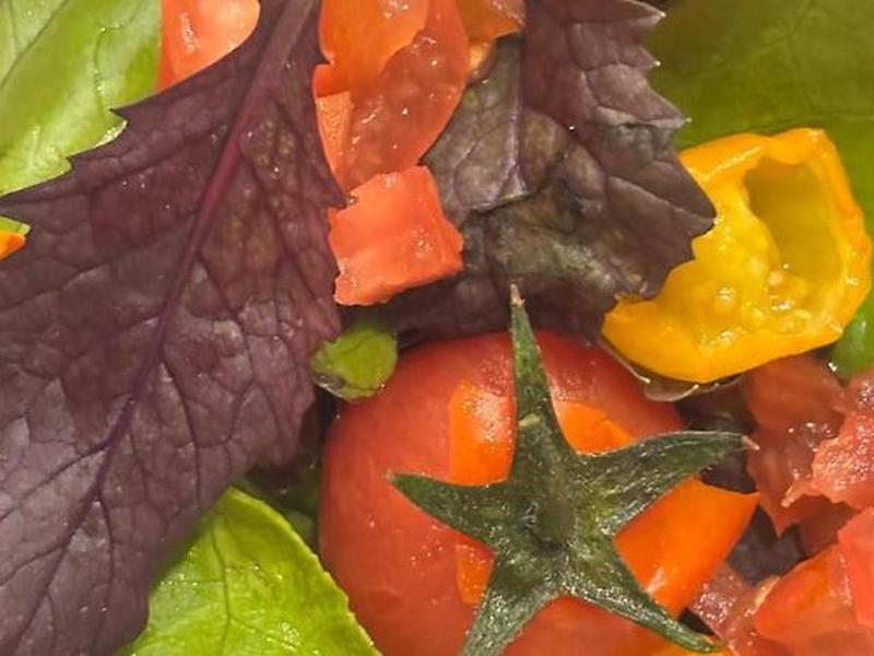 A119A96E7CFE8CFF75857BF5280E620A