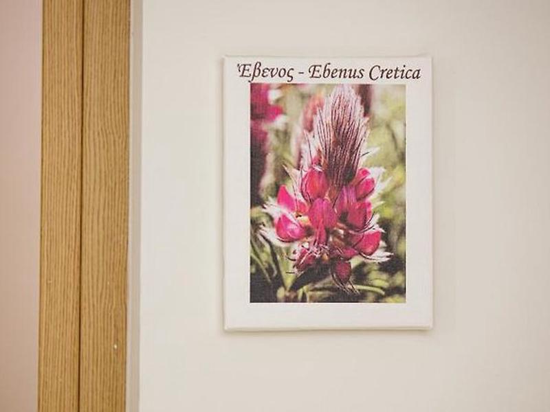 CEED24C9DEC9ED77859D0BCFBB734E0E