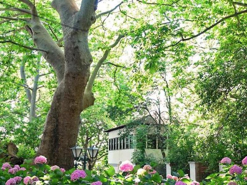 9515E63E63909EB58B41F88F481FA5DA