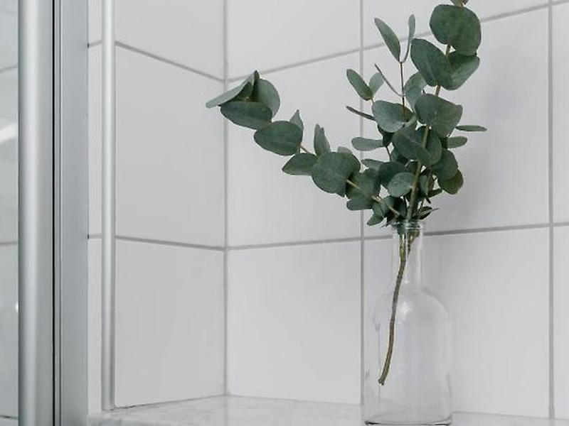 91A0F5A435734B17B9FB4FAE92DEFFFF