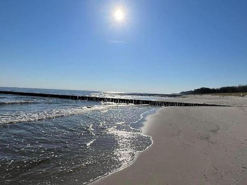 6C1C5C3B58A482ED323CEE8B67461156