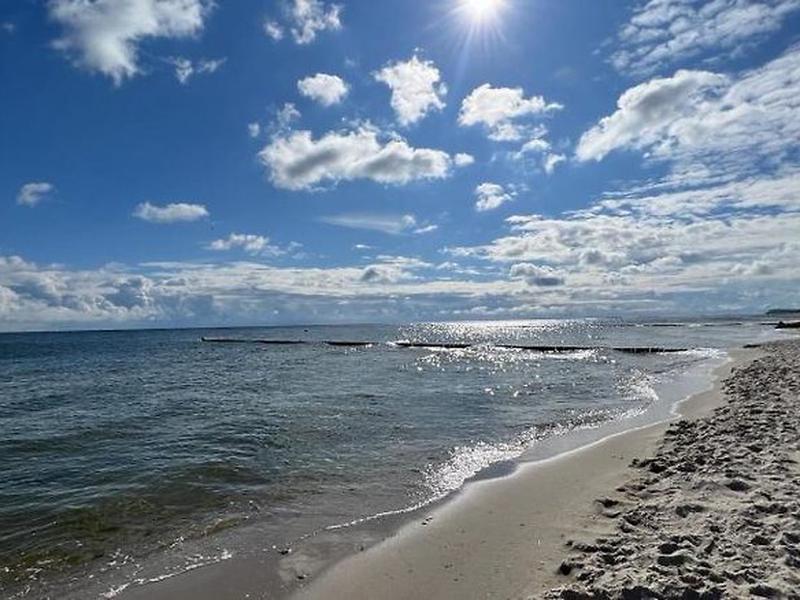 B602DB30C26C8525F85CE3B15AE5460A