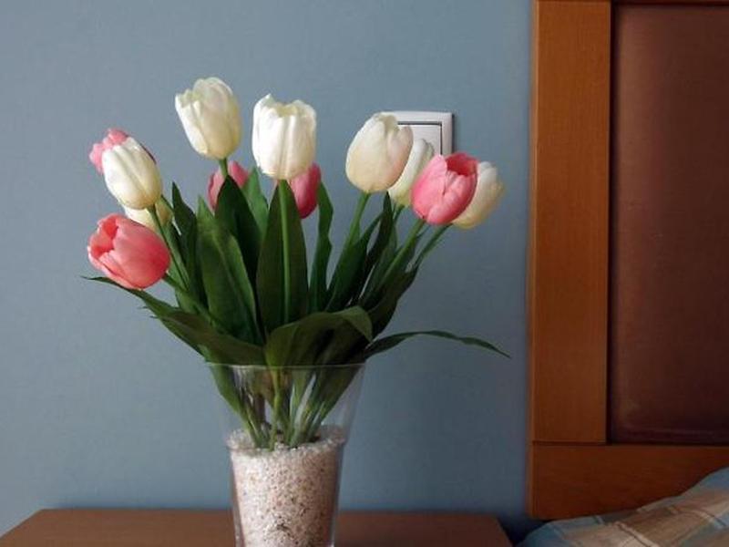 7D29ABC3A3A23DBB2C2C9EE77A76FC9E