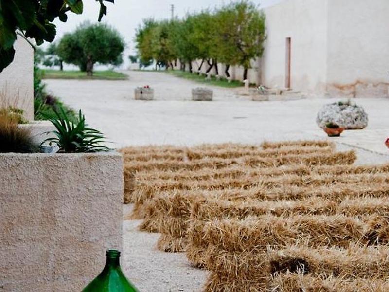 197D5399D240A260DA96088DE97B5322