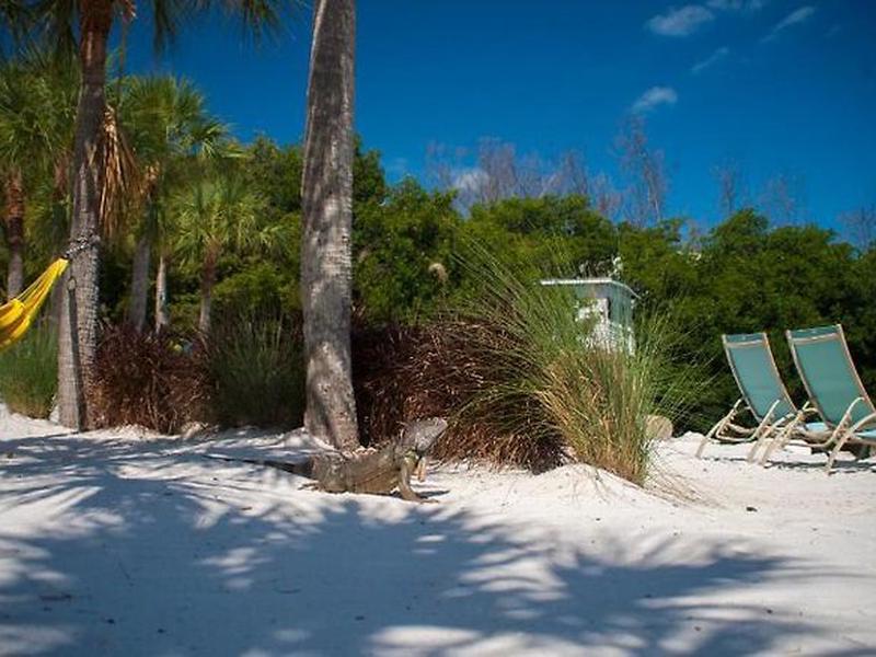 83FBF8A5B68F03ED8F5CFEDCBEEB50A9