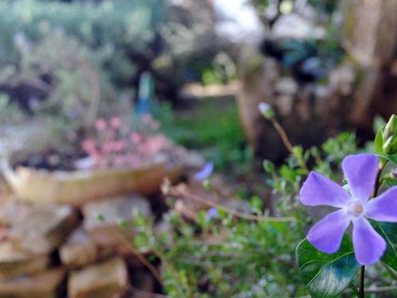 E2D84A920EAC3572D8355146C82F5347