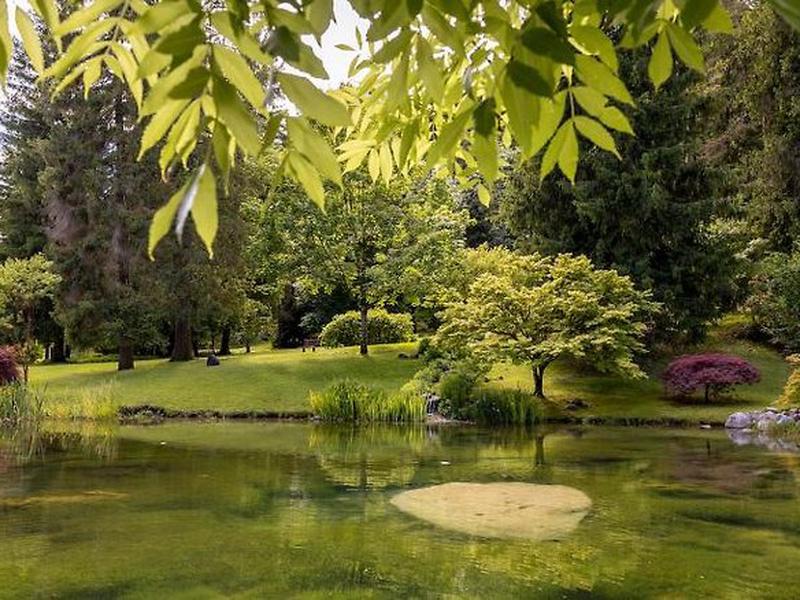 2990F191131C39F5E29995B55ACA6522