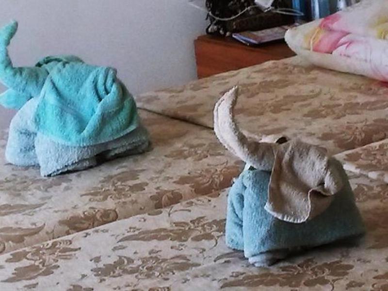 BDEA16D8F4F08D028795D2932B2C096E