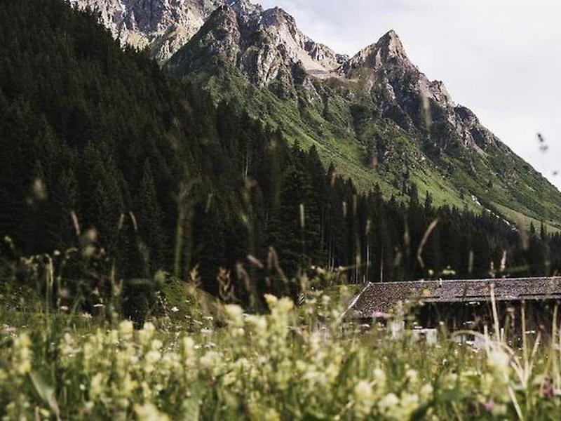 564E1157C4EF6CAA9EB2437A3A8BEB65