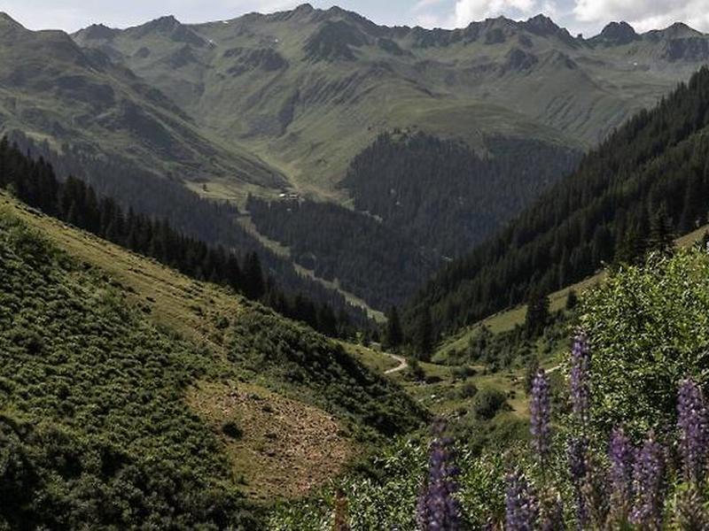 EE10FC19CE123049BD183C5055E8832D