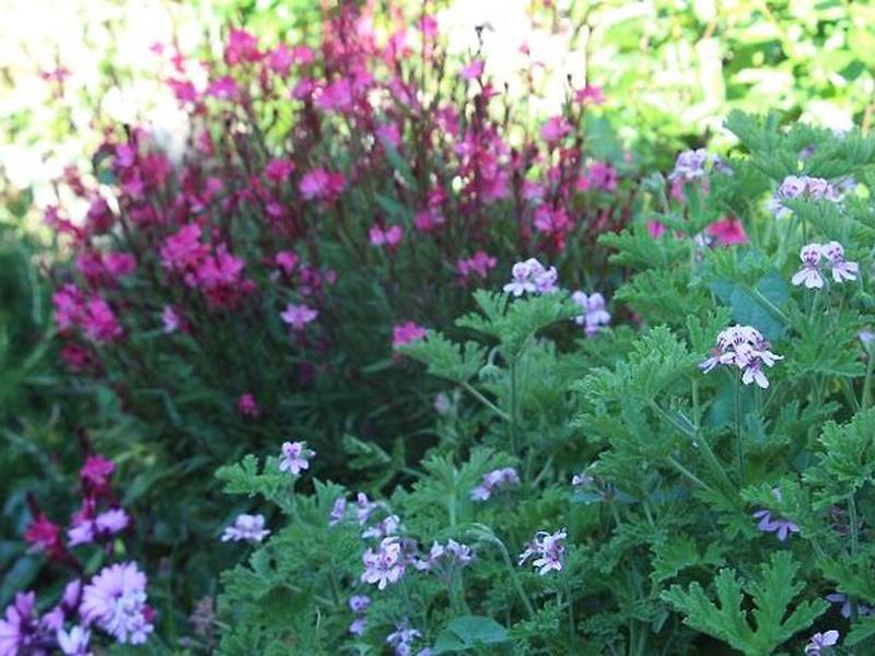 2442FE9F5CF140677A34050FD8D23F37