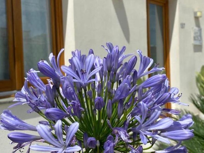 A80A73A3C2A79C0E7D8A843FA94E52A8