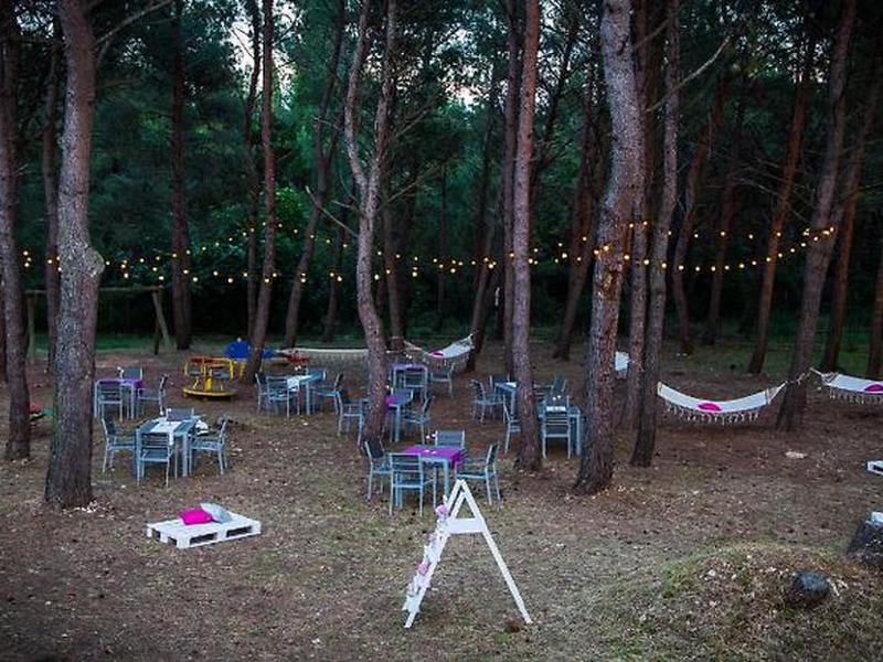 D9E06C8C2226D4B1C683FF1F46853F31