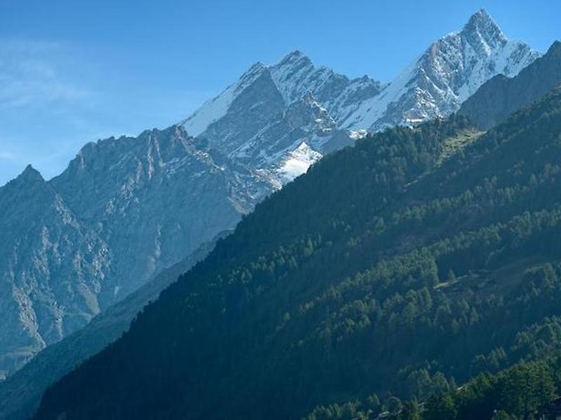 C4E81F4AB5E713523070BB9C74CF07E9