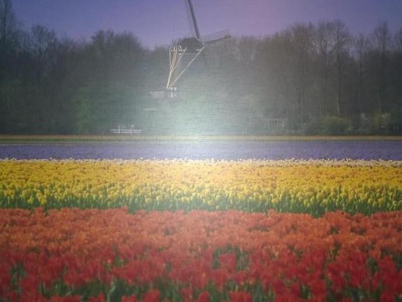 81AD42735E208483776CF980F71EB1DF