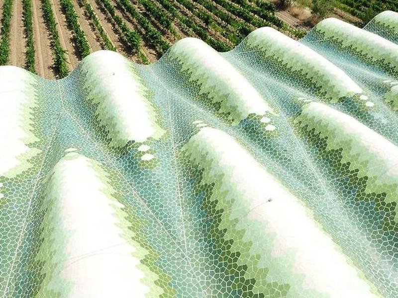 A3089F7E18D35A62FFA64FFE081721D1