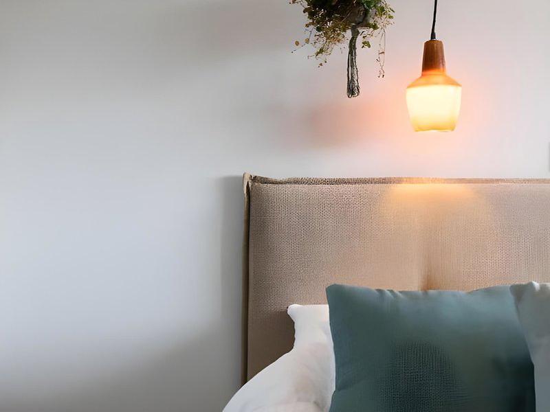 E9F8E8FCC5E1E31792D7CB9FAB89E65B