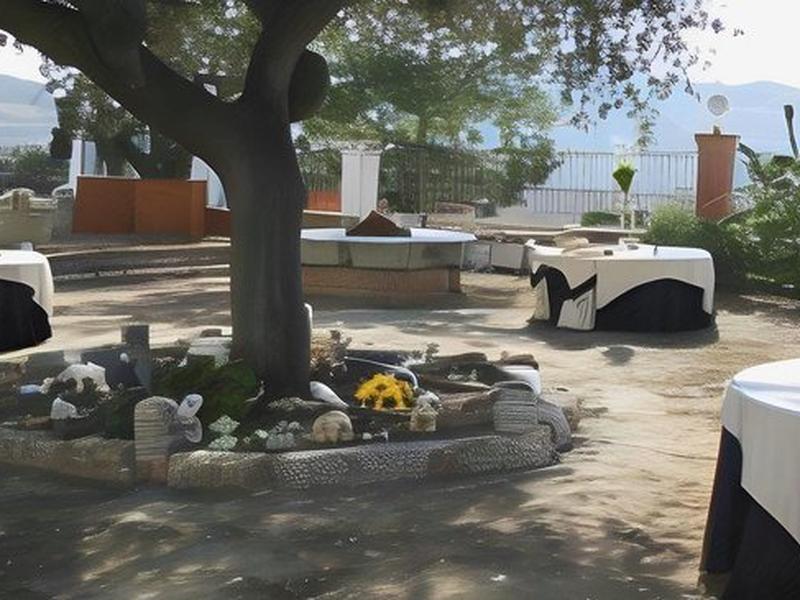 2B317D5D75CF2B34CB0C802F778E5229