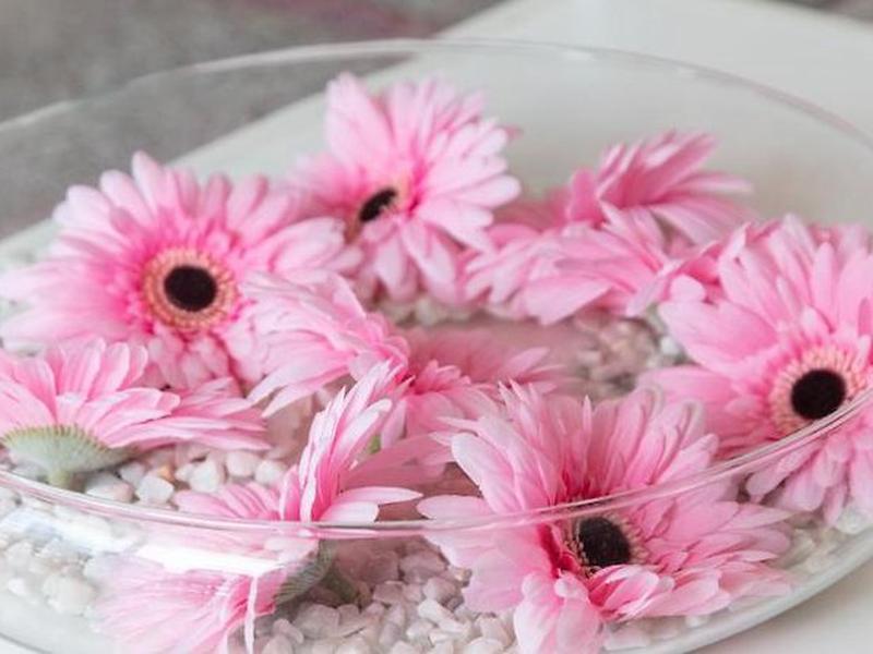 612C56A66357B7595648F6E2B6E15616