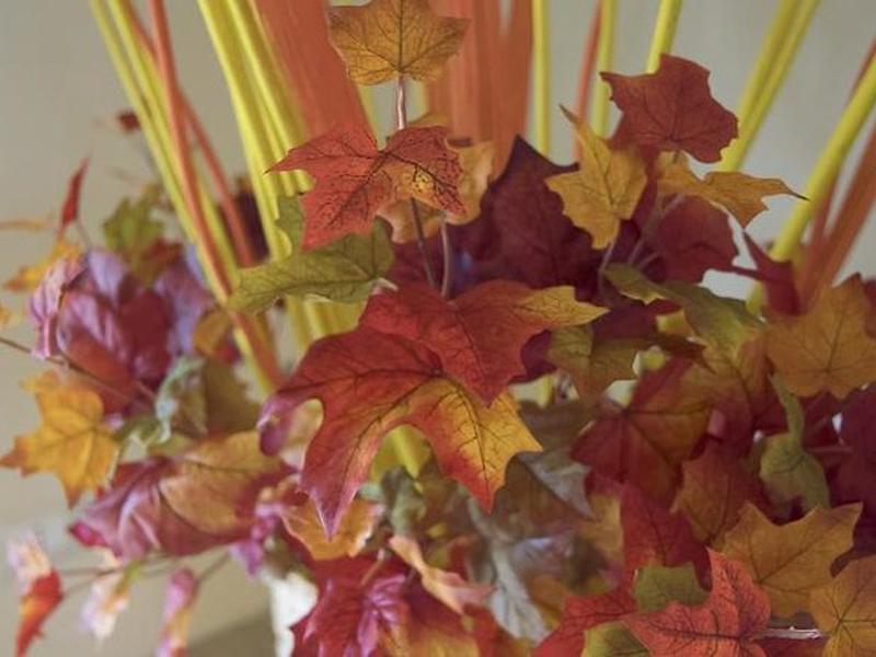 4E5E3581CC41EE0B76F1AB3171696137