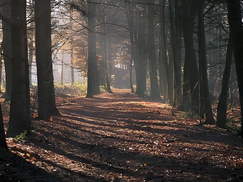 A98E3F512116AB811193A1D4C65F72D5