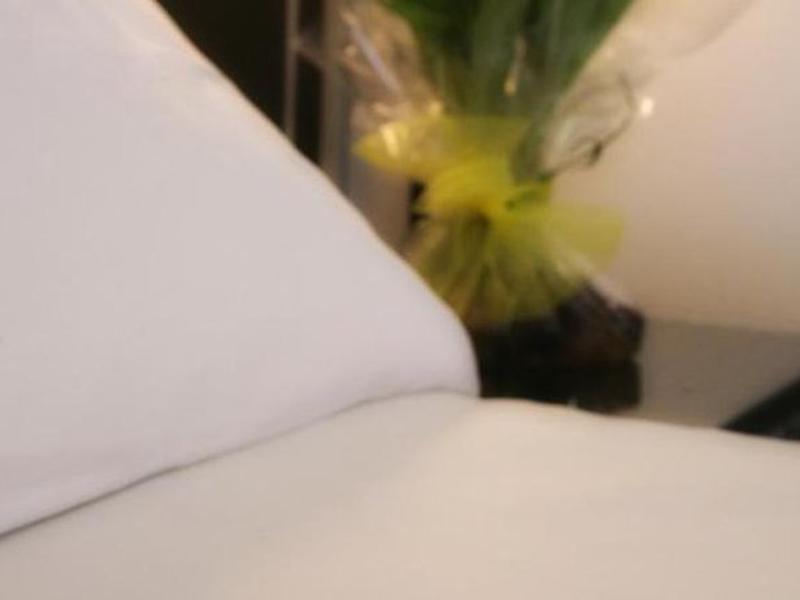 E814532C3C3AD28557B116A0ACACC0B2