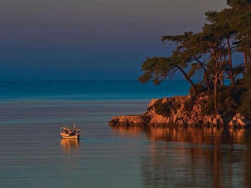 7A467BFCD34A85F67DC31602C68D63C1