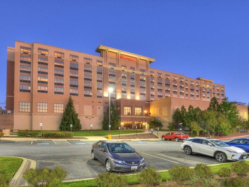 ACC9709F8C0BE626424E31B6F7D409FA