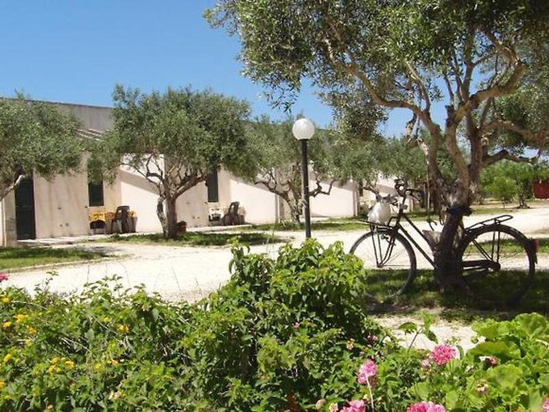 EA30C97CACAB7D961486B87EB914A2D1