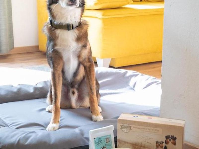 BF17C675DD1224F969ACFC7B890C9ACC