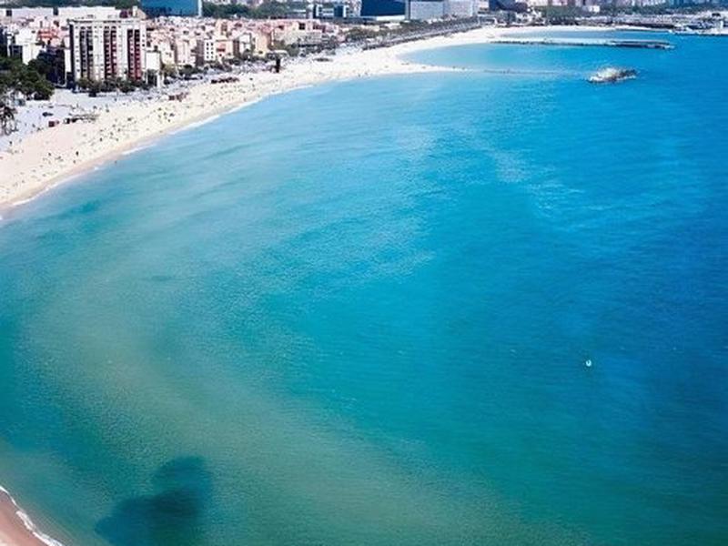 2BE4A55278856B70958948D9A48F1DA1