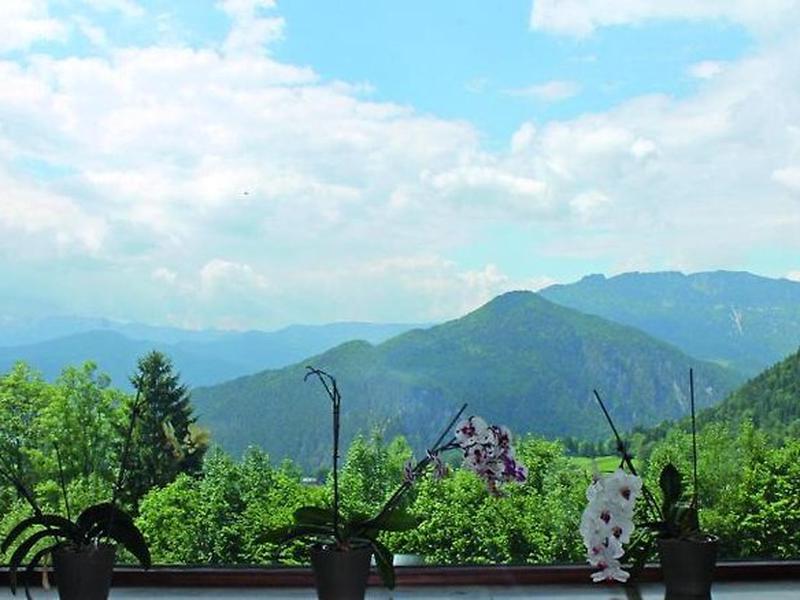 D3D255044D124644983C1F26FF168240