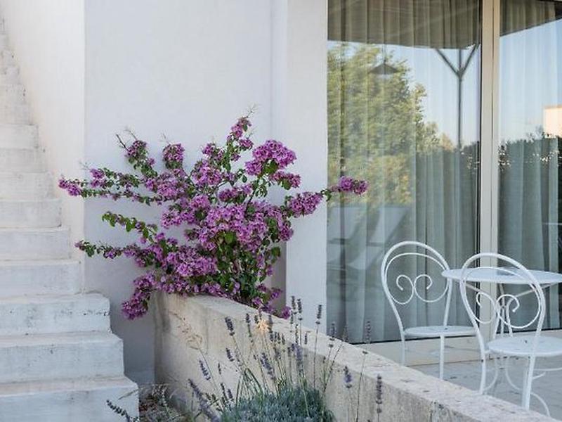 EF2315630B2210F7760B7BDA9FDAD847