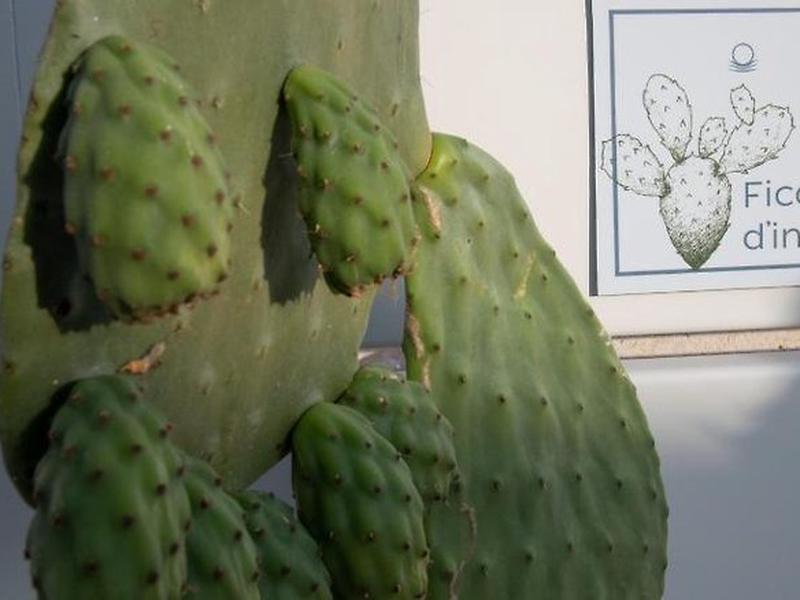 3790342368904C00FEFAB5AD024E327D