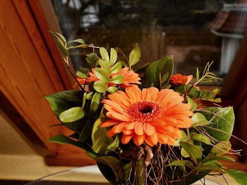 BDBF67D3EAFEB28B74984B3BF1824321