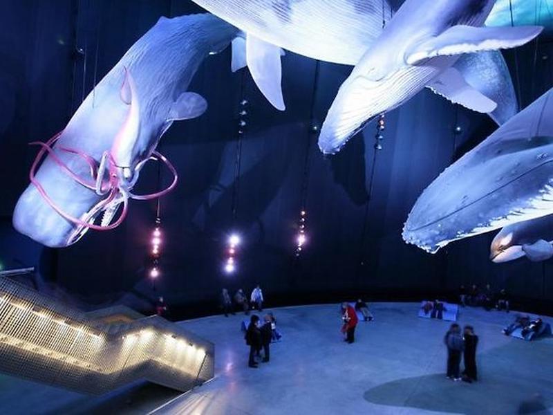 8BE59B3A79833DE5CDA24F4711BF958D