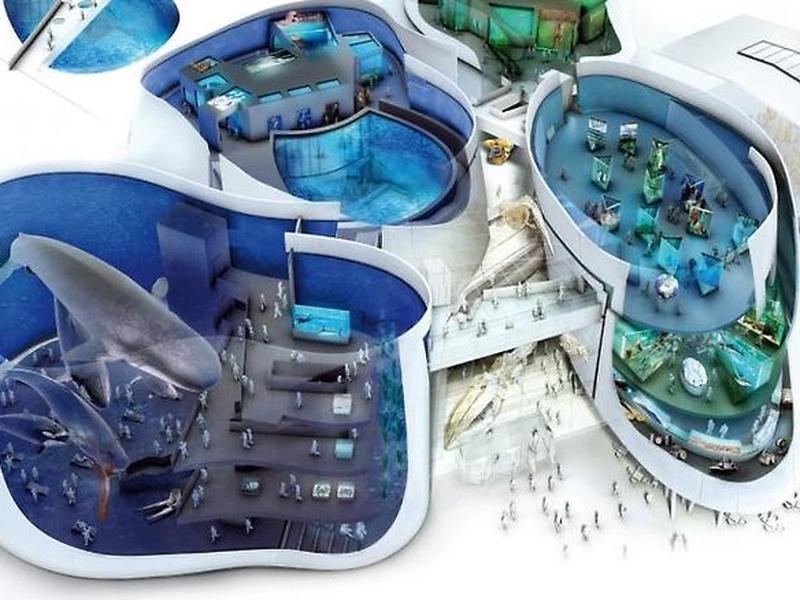 80424E1F911F591F82DC1E08AFBE6227