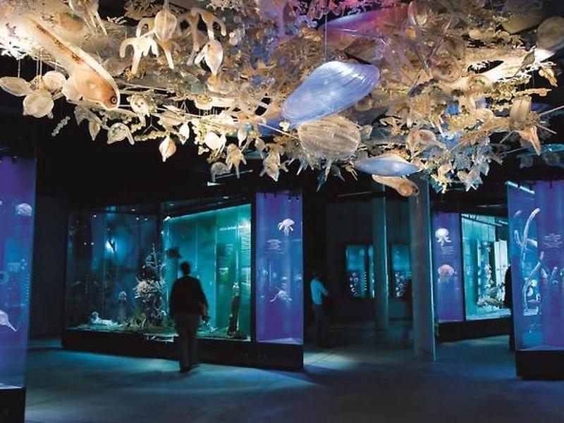 A6307EDA8F767723A9B61454BE57104A