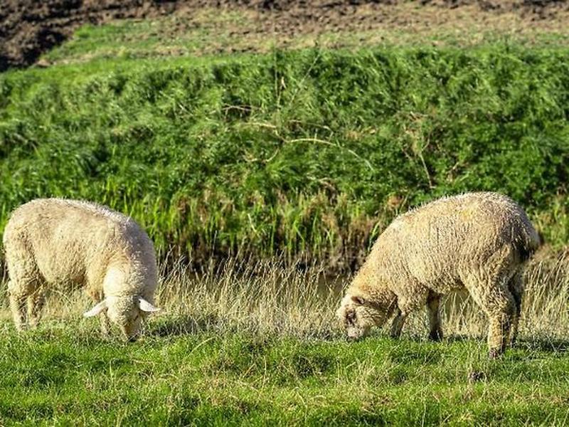 58921EBEADC42044032B883322C1BDE9