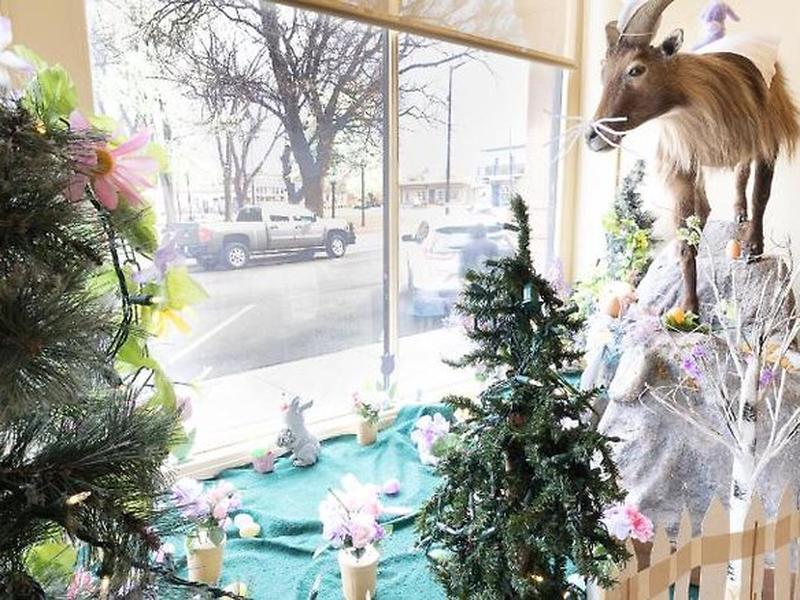 772DA00B717983AB9FCAB74DC3F4529C